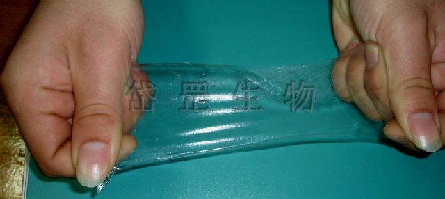 �����Ꮧ��Ĥ